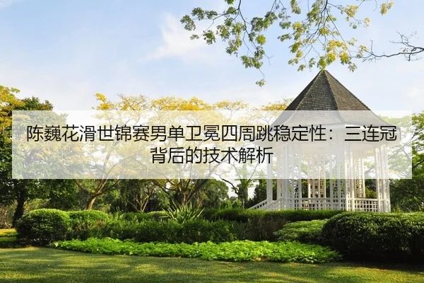 chen-wei-hua-hua-shi-jin-sai-nan-dan-wei-mian-si-zhou-tiao-wen-ding-xing-san-lian-guan-bei-hou-de-ji-shu-jie-xi-2-408.jpg